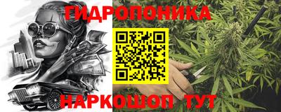 гашик Бузулук