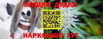гашик Бузулук