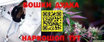 гашик Бузулук