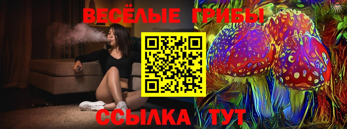 Псилоцибиновые грибы GOLDEN TEACHER Пятигорск