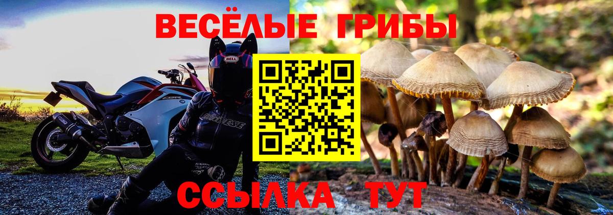 Галлюциногенные грибы GOLDEN TEACHER  Вход с VPN  Пятигорск 